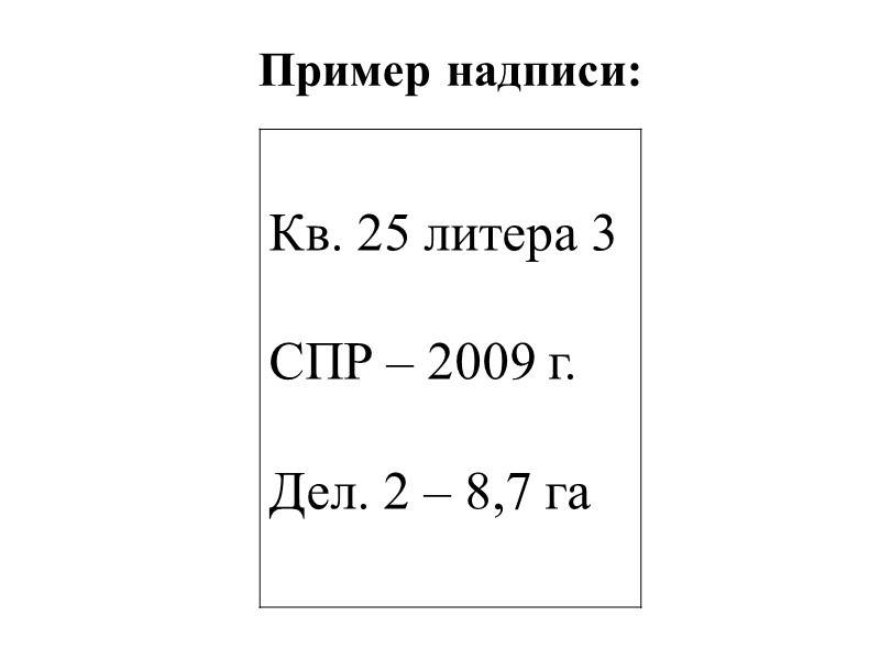 Пример надписи: